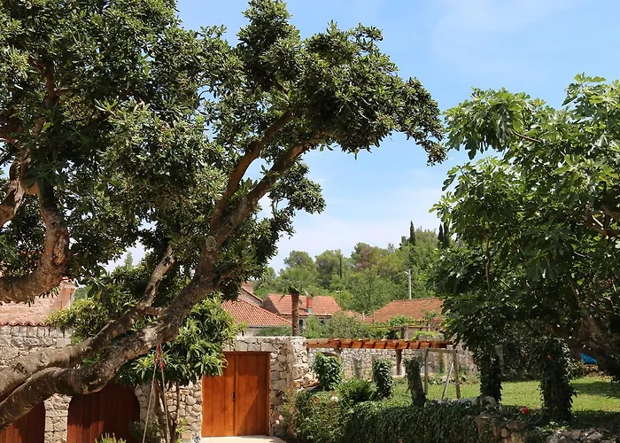 Guardian * Чилипи